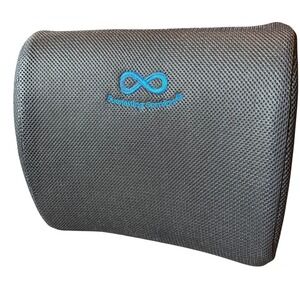 Lumbar Support Pillow Back Cushion Mesh Strap